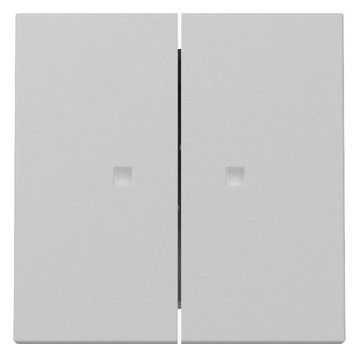 GIRA 3631015 Wippe 2fach Kontrollfenster System 55 Grau matt (lackiert)