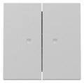 GIRA 3631015 Wippe 2fach Kontrollfenster System 55 Grau matt (lackiert)
