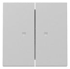 GIRA 3631015 Wippe 2fach Kontrollfenster System 55 Grau matt (lackiert)