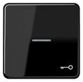 Jung CD590KO5TSW Wippe Symbol Tür m.Lichtleiter schwarz
