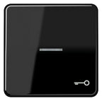 Jung CD590KO5TSW Wippe Symbol Tür m.Lichtleiter schwarz