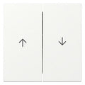 GIRA 329427 Wippe 2fach Pfeil System 55 Reinweiß seidenmatt