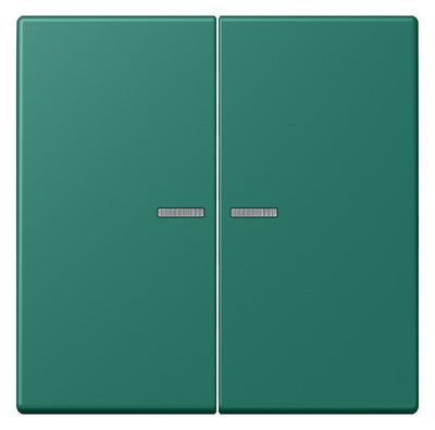Jung LC995KO5216 Wippe f.Serienschalter KO LC32040