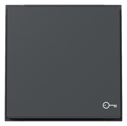 GIRA 328767 Wippe Symbol Tür TX_44 WG UP Anthrazit
