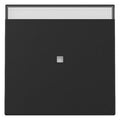 GIRA 3670005 Wippe Kontrollfenster+BSF System 55 Schwarz matt (lackiert)
