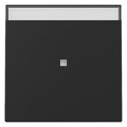 GIRA 3670005 Wippe Kontrollfenster+BSF System 55 Schwarz matt (lackiert)
