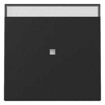 GIRA 3670005 Wippe Kontrollfenster+BSF System 55 Schwarz matt (lackiert)