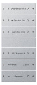 GIRA 220626 Wippenset 6fach (3+3) beschreib. System 55 Farbe Alu (lack.)