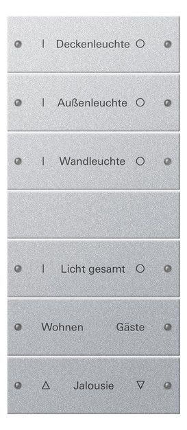 GIRA 220626 Wippenset 6fach (3+3) beschreib. System 55 Farbe Alu (lack.)