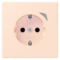 Jung BTLC1521SE226 JUNG HOME SCHUKO Steckdose Energy LC3208