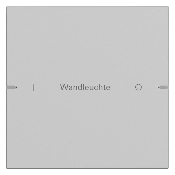 GIRA 5031915 Wippenset 1fach indiv. Tastsensor4 TS4 Alu Grau matt (lack.)