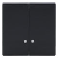 BJ 1785 K-81 Wippe anthrazit future linear f.Schalter/Taster