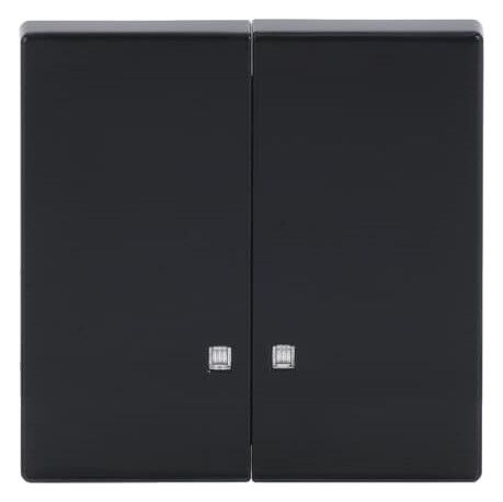 BJ 1785 K-81 Wippe anthrazit future linear f.Schalter/Taster