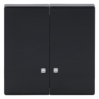 BJ 1785 K-81 Wippe anthrazit future linear f.Schalter/Taster