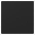 GIRA 3496005 Wippe gerade System 55 Schwarz matt (lackiert)