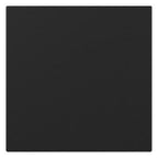 GIRA 3496005 Wippe gerade System 55 Schwarz matt (lackiert)