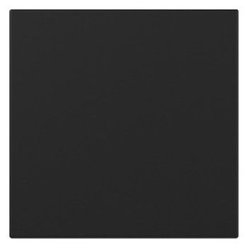 GIRA 3496005 Wippe gerade System 55 Schwarz matt (lackiert)
