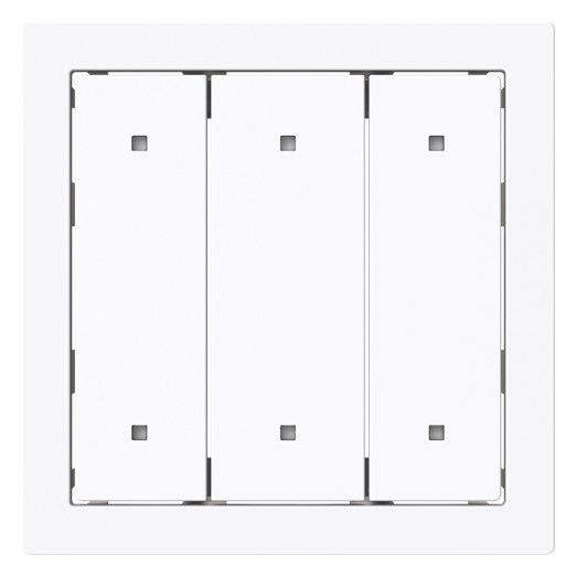 BJ 2570-30-44G Wippe f.Elektroniktaster 3-fach