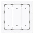 BJ 2570-30-44G Wippe f.Elektroniktaster 3-fach