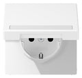 Jung LS1520BFNAKLWWM SCHUKO Steckd.m.Schriftf.u.Klappd.