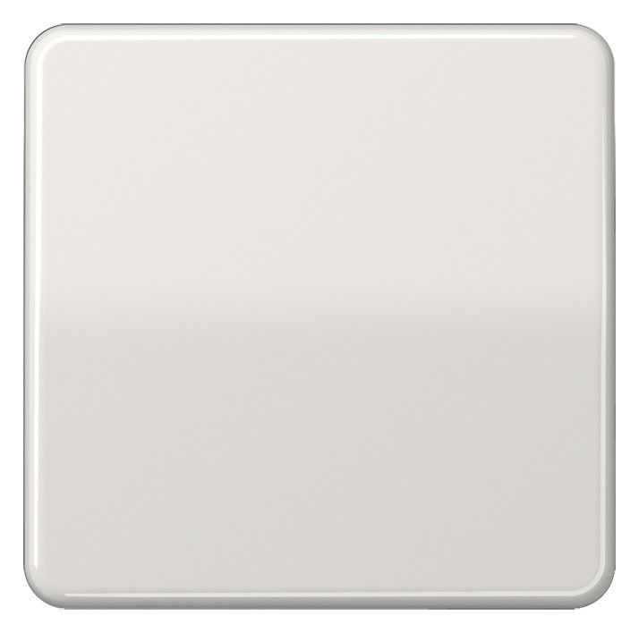 Jung CD590BFLG Wippe bruchsicher lichtgrau