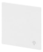 BJ 2520 LI-44G Wippe geschlossen m.Symbol "Licht"