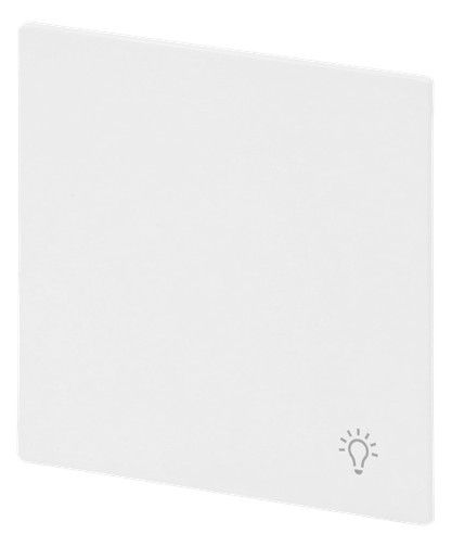 BJ 2520 LI-44G Wippe geschlossen m.Symbol "Licht"