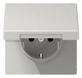 Jung LS1520NKLLG SCHUKO Steckd.m.Klappd. o.Kralle