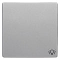 Berker 16206044 Wippe m.Aufdruck Symbol Licht Q.1/Q.3 alu samt lackiert