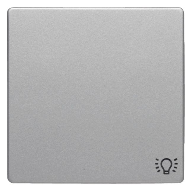 Berker 16206044 Wippe m.Aufdruck Symbol Licht Q.1/Q.3 alu samt lackiert
