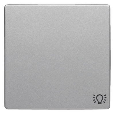 Berker 16206044 Wippe m.Aufdruck Symbol Licht Q.1/Q.3 alu samt lackiert