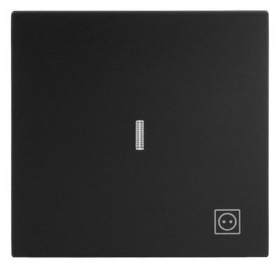 BJ 1789 ST-45M Wippe m.Symbol "Stecker" Mit transparenter Kalotte