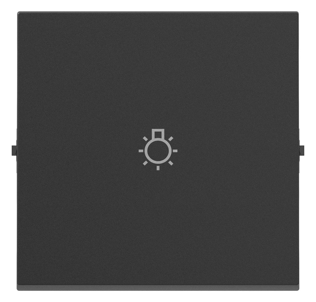 Legrand 765413 SEANO Wippe m.Symbol Licht in der Farbausführung Anthrazit