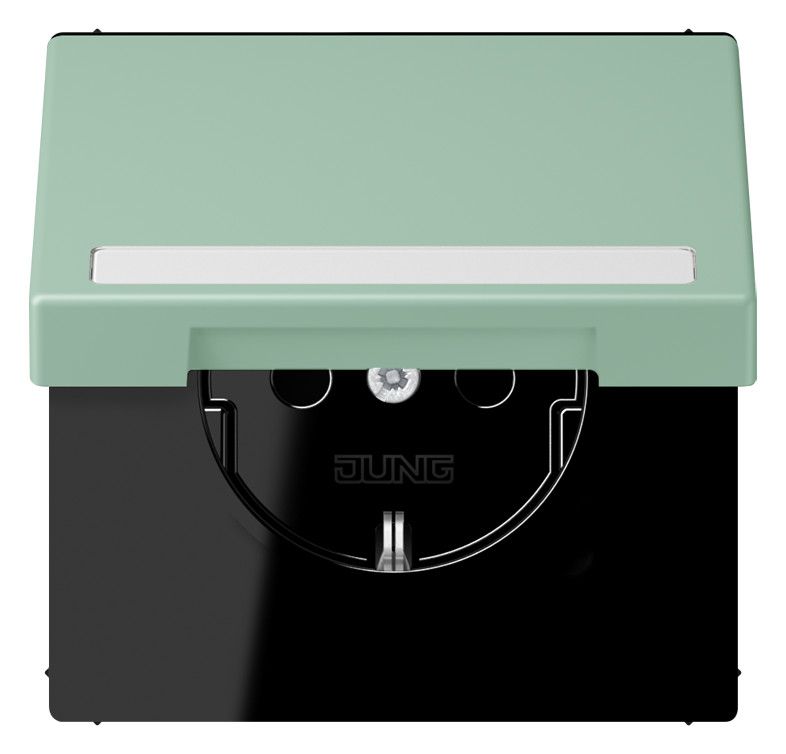 Jung LC1520BFNAKL217 SCHUKO-Steckd.KI m. Klappdeckel m.S
