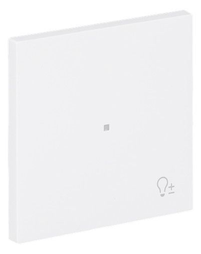 BJ 6234-10-44G Wippe 1-fach m.Symbol "Dimmer"