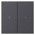 GIRA 536928 Wippe 2fach unbedruckt KF System 55 Anthrazit