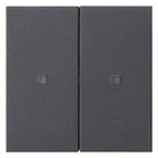 GIRA 536928 Wippe 2fach unbedruckt KF System 55 Anthrazit