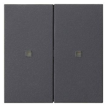 GIRA 536928 Wippe 2fach unbedruckt KF System 55 Anthrazit