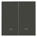 Panasonic WDTR00221DG-EU1 Plus 55 Wippe anthrazit m.Symbol Jalousie