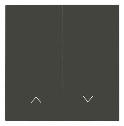 Panasonic WDTR00221DG-EU1 Plus 55 Wippe anthrazit m.Symbol Jalousie
