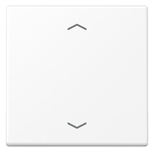 Jung A 101 P BF WWM Wippe m.Pfeilsymbolen f.KNX Taster 1f