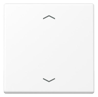 Jung A 101 P BF WWM Wippe m.Pfeilsymbolen f.KNX Taster 1f