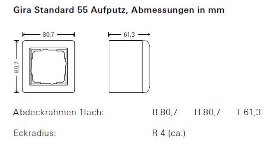GIRA 106203 AP-Gehäuse 2fach+Rahmen Standard 55 Reinweiß glänzend