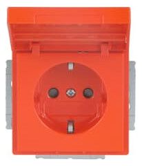 BJ 20 EUKNB-14-82 SCHUKO Steckdosen-Einsatz org RAL2004 future