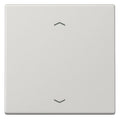Jung LS990PLG Wippe m.Symbolen Auf/Ab f.Taster BA 1f lichtgrau