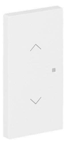 BJ 6232-20-44M Wippe 2-fach m.Symbol "Jalousie"