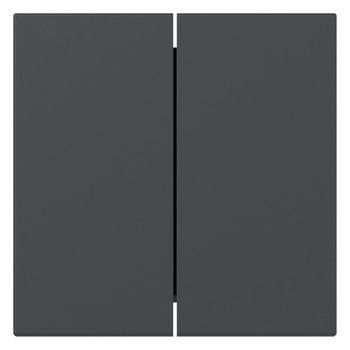 GIRA 349528 Wippe 2fach gerade System 55 Anthrazit