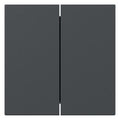 GIRA 349528 Wippe 2fach gerade System 55 Anthrazit