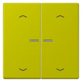 Jung LC102KO5P249 Wippe m.Lichtleiter u. Pfeilsymbolen
