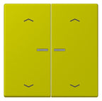 Jung LC102KO5P249 Wippe m.Lichtleiter u. Pfeilsymbolen